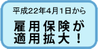 ����22�N4��1������ٗp�ی����K�p�g��I