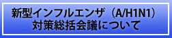 �V�^�C���t���G���U�iA/H1N1�j�΍�������c�ɂ���