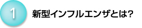 1�@�V�^�C���t���G���U�Ƃ́H