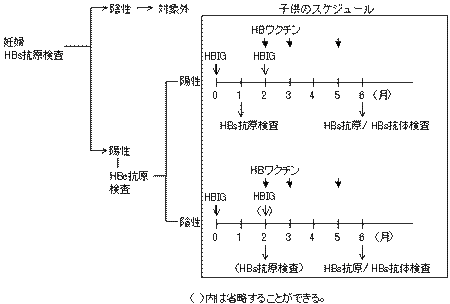 HBV��q�����\�h�̂��߂̊�{�I�ȃv���O�����̊T���̐}