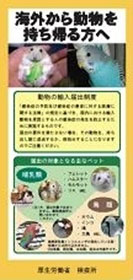 �C�O���瓮���������A�����