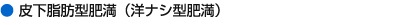 �牺���b�^�얞�i�m�i�V�^�얞�j