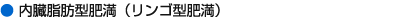 内臓脂肪型肥満(リンゴ型肥満)
