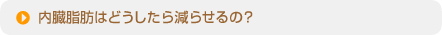 �������b�͂ǂ������猸�点��H