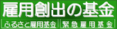 �ٗp�n�o�̊��