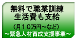 �����ŐE�ƌP����������x���i��10���~�`�Ȃǁj�`�ً}�l�ވ琬�x�����Ɓ`