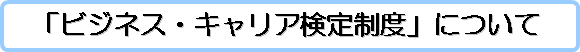 �u�r�W�l�X�E�L�����A���萧�x�v�ɂ���
