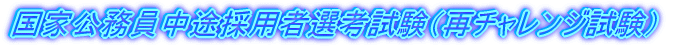 ���ƌ��������r�̗p�ґI�l�����i�ă`�������W�����j 