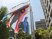 �ʐ^�i2017�N4��25���j