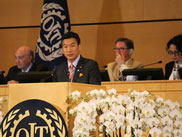 �ʐ^�i2017�N6��13���j