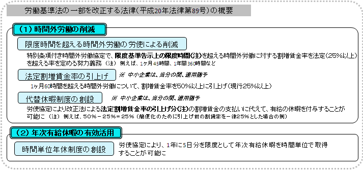 �J����@�̈ꕔ����������@���i����20�N�@����89���j�̊T�v