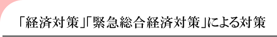 「経済対策」「緊急総合経済対策」による対策