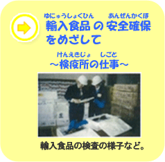 �A���H�i�̈��S�m�ۂ��߂����ā`���u���̎d���`�@�A���H�i�̌����̗l�q�ȂǁB