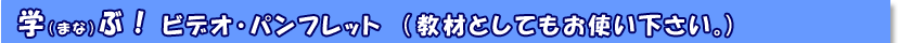 �w�ԁI�r�f�I�E�p���t���b�g�i���ނƂ��Ă����g�����������B�j