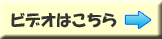 �r�f�I�͂�����