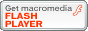 FLASH�v���C���[���_�E�����[�h