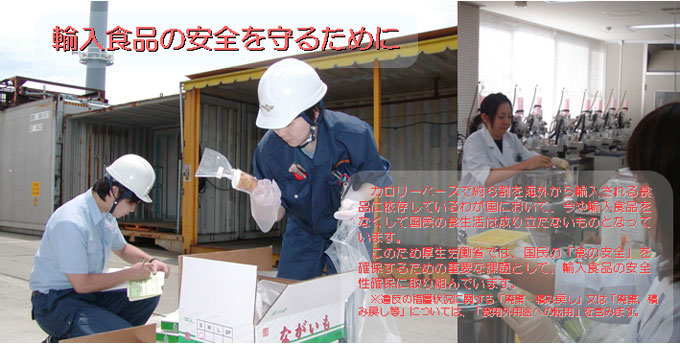 輸入食品の安全を守るために