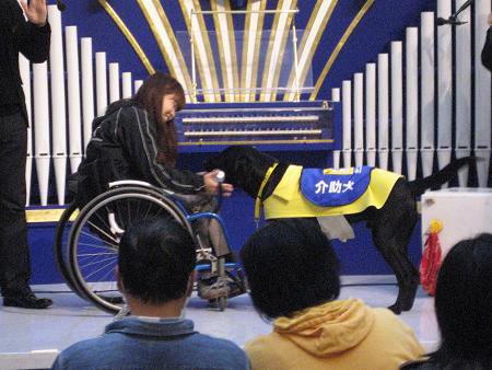 写真(2009年12月4日)