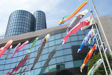 写真(2011年4月17日)