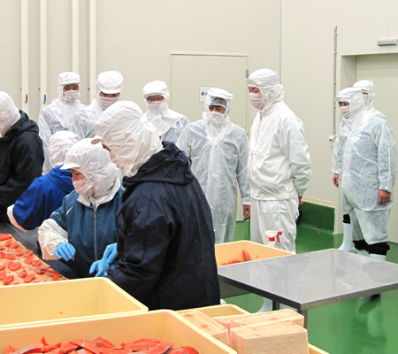 写真(2013年1月16日)