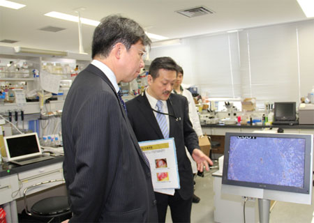 写真(2013年4月11日)