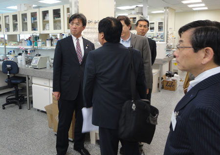 写真(2013年4月29日)