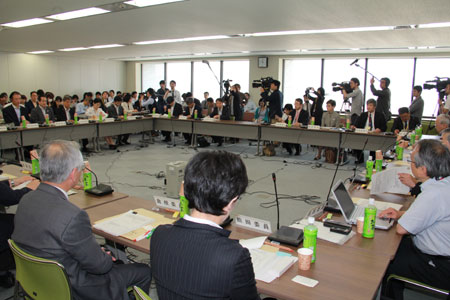 写真(2013年5月16日)