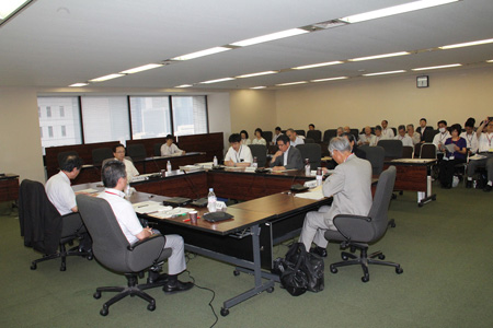 写真(2013年6月17日)