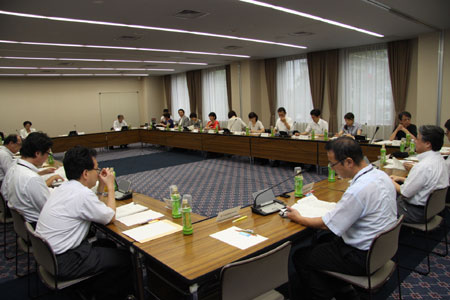 写真(2013年7月29日)