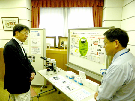 写真(2013年8月13日)