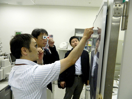 写真(2013年8月13日)