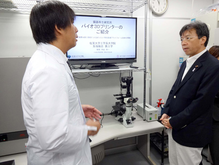 写真(2013年8月22日)