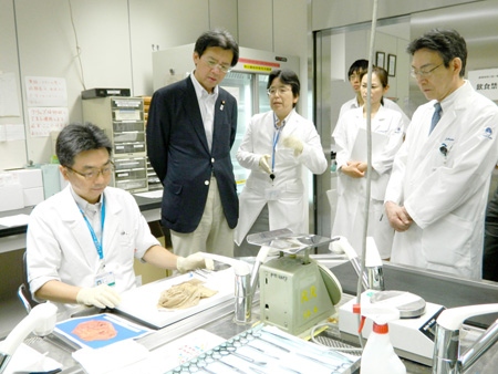 写真(2013年9月11日)