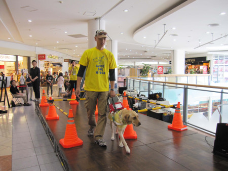 写真(2013年9月2日)