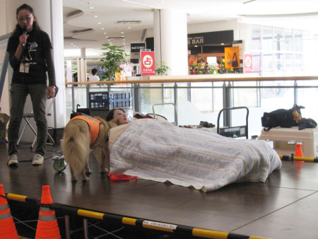 写真(2013年9月29日)