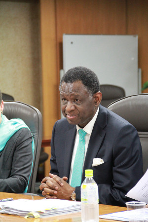 写真(2013年11月18日)