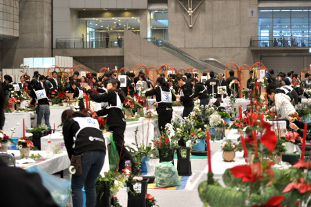 写真(2013年11月22日)