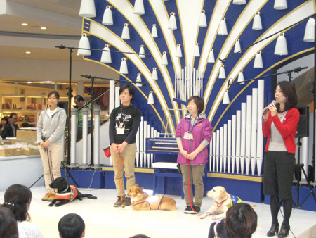 写真(2013年12月7日)