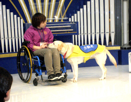 写真(2013年12月7日)