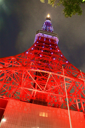 写真(2014年4月2日)