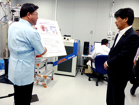 写真(2014年7月31日)