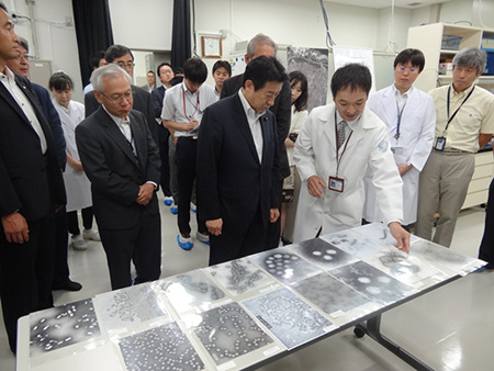 写真(2014年9月10日)