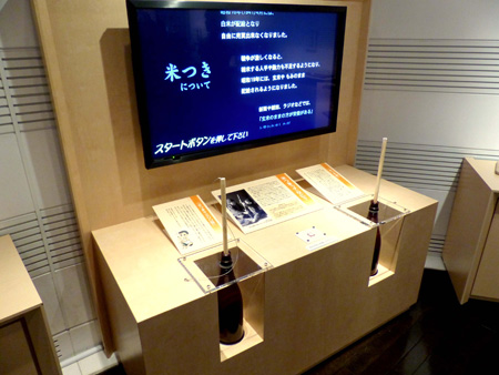 写真(2015年1月19日)