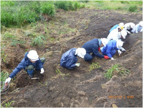 遺骨収容の現場風景2