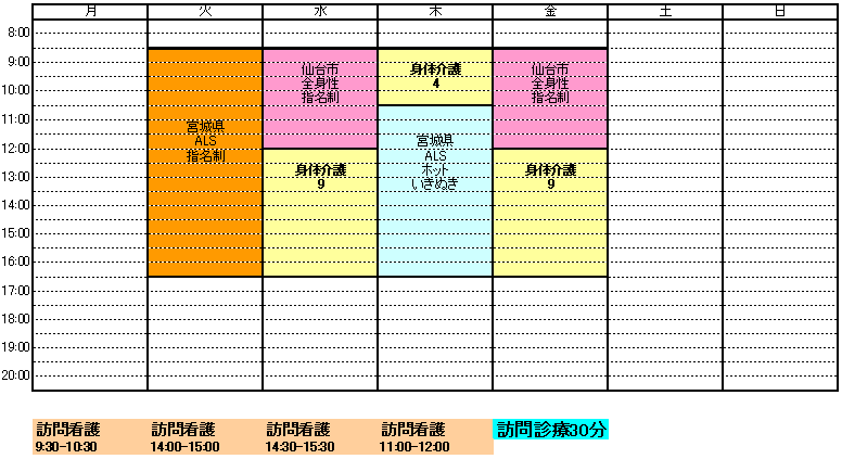 週間サービス計画(Mr.T) 介護・医療保険