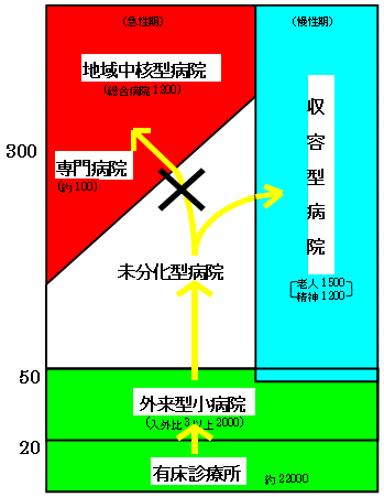日本病院進化論の図