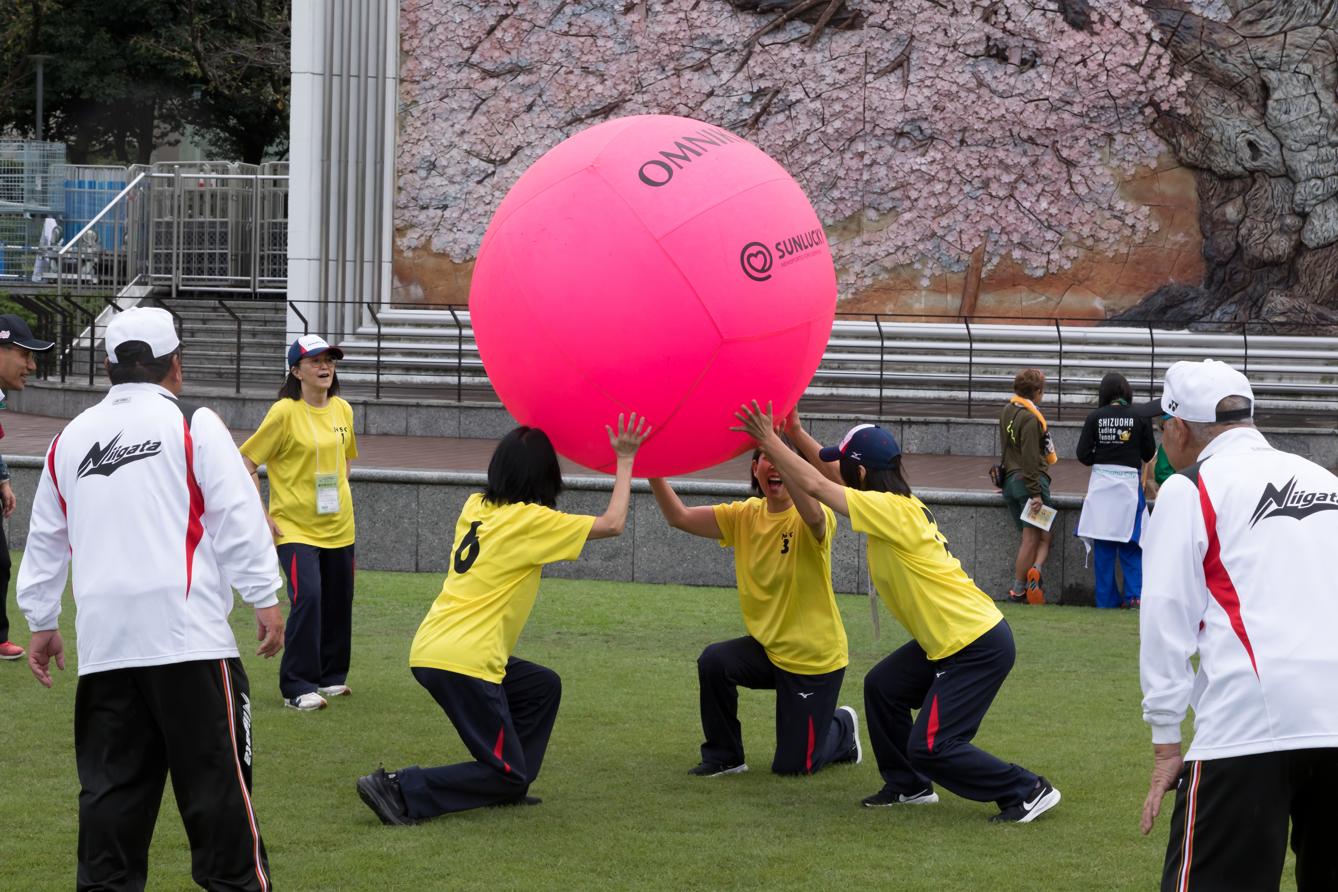 ふれあいニュースポーツ(キンボール)
