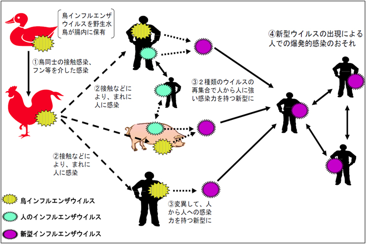 鳥インフルエンザに関するq A 厚生労働省