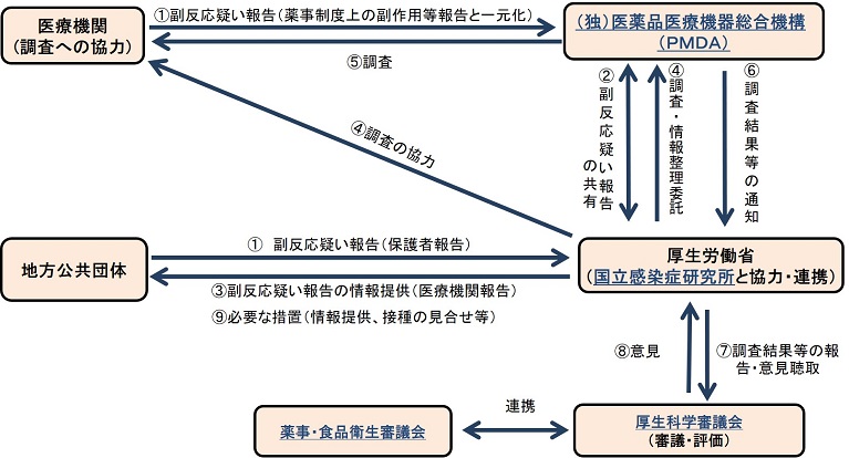 副作用 と 副 反応 の 違い