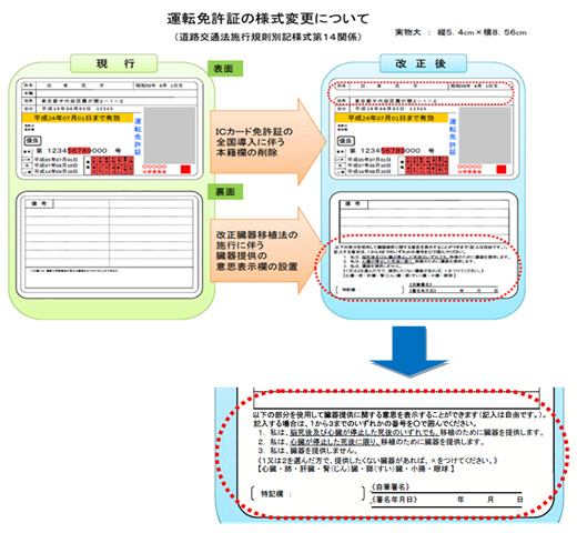 運転免許証の臓器提供意思表示記入欄について 厚生労働省